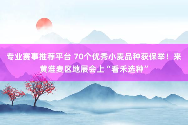 专业赛事推荐平台 70个优秀小麦品种获保举！来黄淮麦区地展会上“看禾选种”