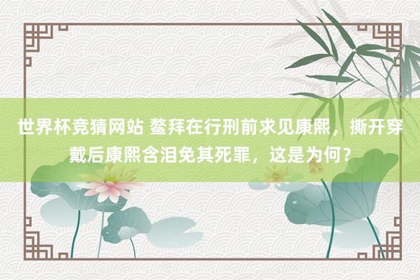 世界杯竞猜网站 鳌拜在行刑前求见康熙，撕开穿戴后康熙含泪免其死罪，这是为何？