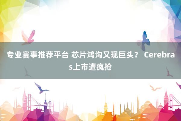 专业赛事推荐平台 芯片鸿沟又现巨头？ Cerebras上市遭疯抢