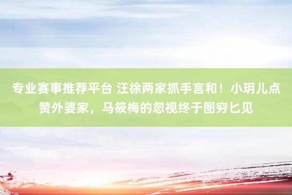 专业赛事推荐平台 汪徐两家抓手言和！小玥儿点赞外婆家，马筱梅的忽视终于图穷匕见