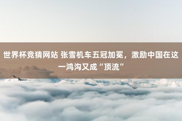 世界杯竞猜网站 张雪机车五冠加冕，激励中国在这一鸿沟又成“顶流”