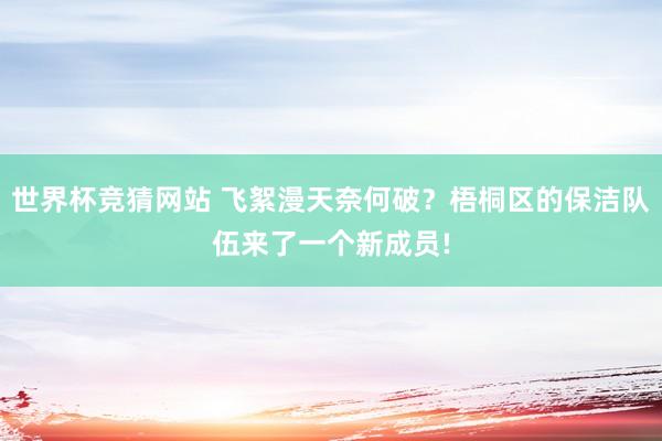 世界杯竞猜网站 飞絮漫天奈何破？梧桐区的保洁队伍来了一个新成员!