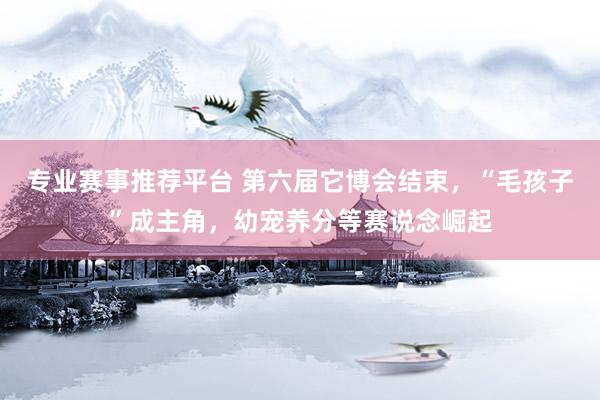 专业赛事推荐平台 第六届它博会结束，“毛孩子”成主角，幼宠养分等赛说念崛起