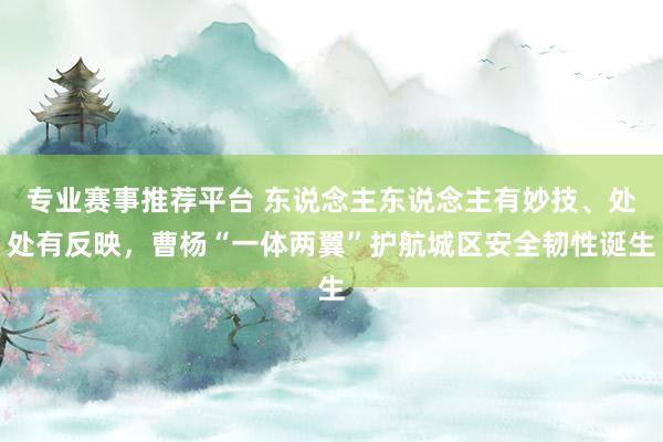 专业赛事推荐平台 东说念主东说念主有妙技、处处有反映，曹杨“一体两翼”护航城区安全韧性诞生