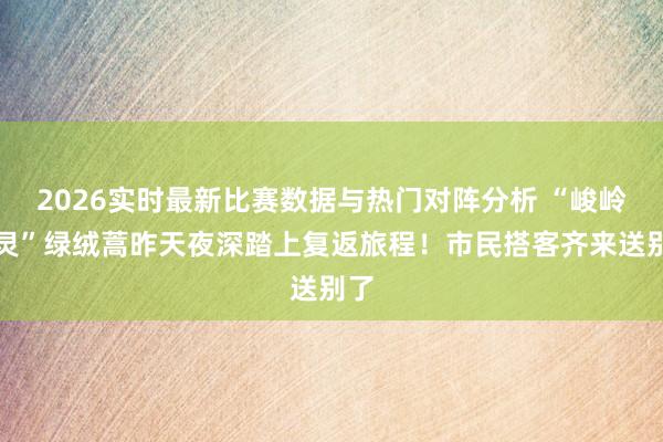 2026实时最新比赛数据与热门对阵分析 “峻岭精灵”绿绒蒿昨天夜深踏上复返旅程！市民搭客齐来送别了