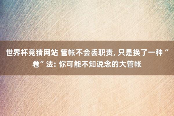 世界杯竞猜网站 管帐不会丢职责， 只是换了一种“卷”法: 你可能不知说念的大管帐