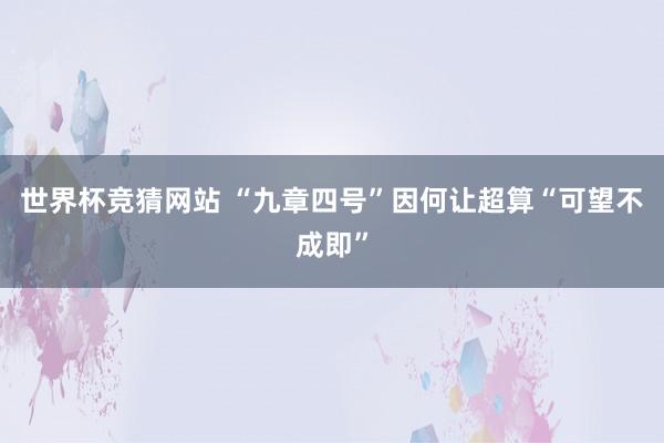 世界杯竞猜网站 “九章四号”因何让超算“可望不成即”