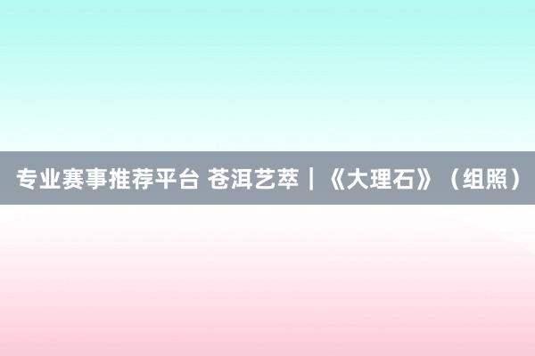 专业赛事推荐平台 苍洱艺萃｜《大理石》（组照）