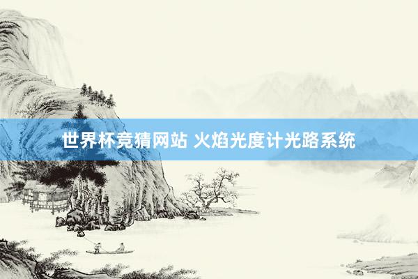 世界杯竞猜网站 火焰光度计光路系统