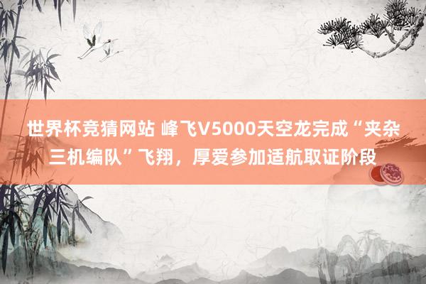 世界杯竞猜网站 峰飞V5000天空龙完成“夹杂三机编队”飞翔，厚爱参加适航取证阶段