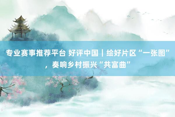 专业赛事推荐平台 好评中国｜绘好片区“一张图”，奏响乡村振兴“共富曲”