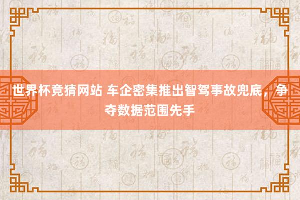 世界杯竞猜网站 车企密集推出智驾事故兜底，争夺数据范围先手