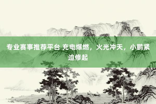 专业赛事推荐平台 充电爆燃，火光冲天，小鹏紧迫修起
