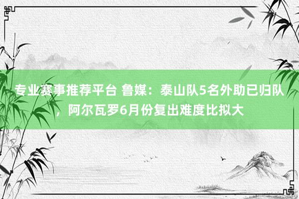 专业赛事推荐平台 鲁媒：泰山队5名外助已归队，阿尔瓦罗6月份复出难度比拟大