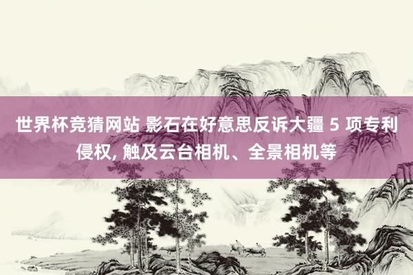 世界杯竞猜网站 影石在好意思反诉大疆 5 项专利侵权， 触及云台相机、全景相机等