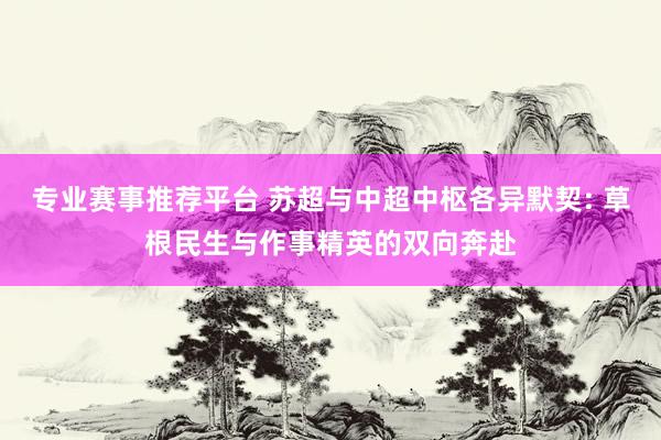 专业赛事推荐平台 苏超与中超中枢各异默契: 草根民生与作事精英的双向奔赴