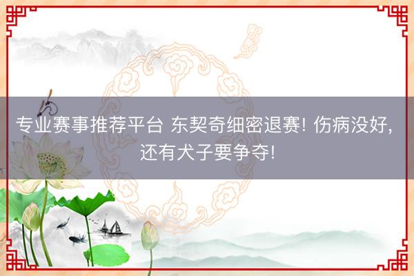 专业赛事推荐平台 东契奇细密退赛! 伤病没好， 还有犬子要争夺!