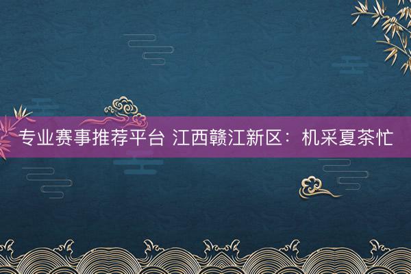 专业赛事推荐平台 江西赣江新区：机采夏茶忙