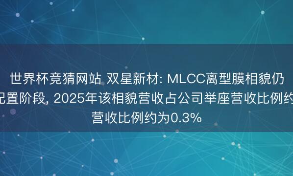 世界杯竞猜网站 双星新材: MLCC离型膜相貌仍在教育配置阶段， 2025年该相貌营收占公司举座营收比例约为0.3%