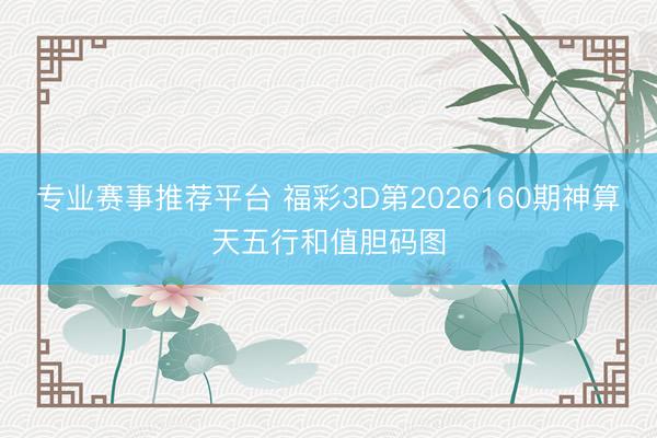 专业赛事推荐平台 福彩3D第2026160期神算天五行和值胆码图
