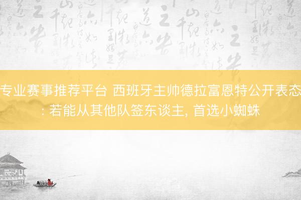 专业赛事推荐平台 西班牙主帅德拉富恩特公开表态: 若能从其他队签东谈主, 首选小蜘蛛